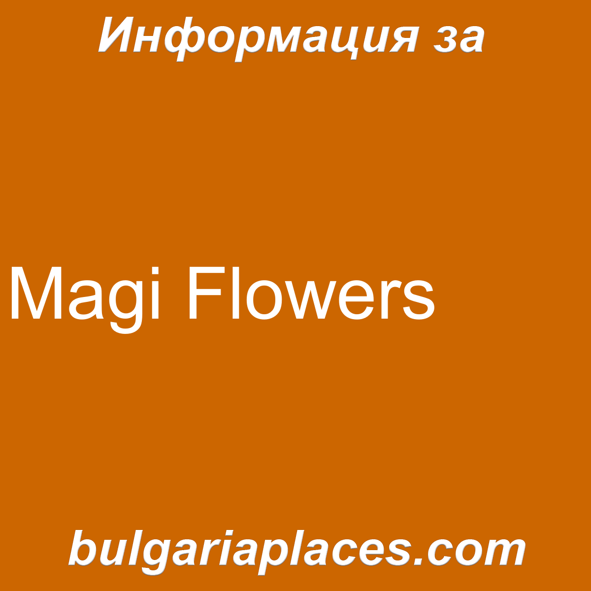 Magi Flowers