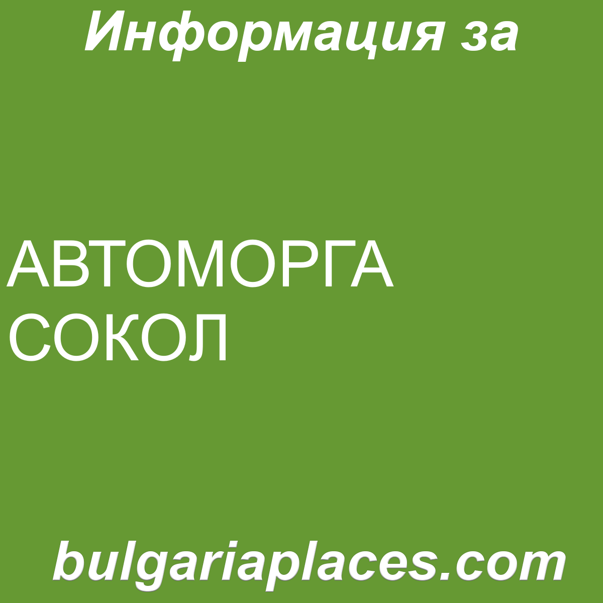 АВТОМОРГА СОКОЛ