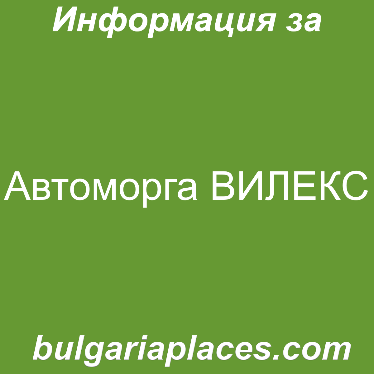 Автоморга ВИЛЕКС