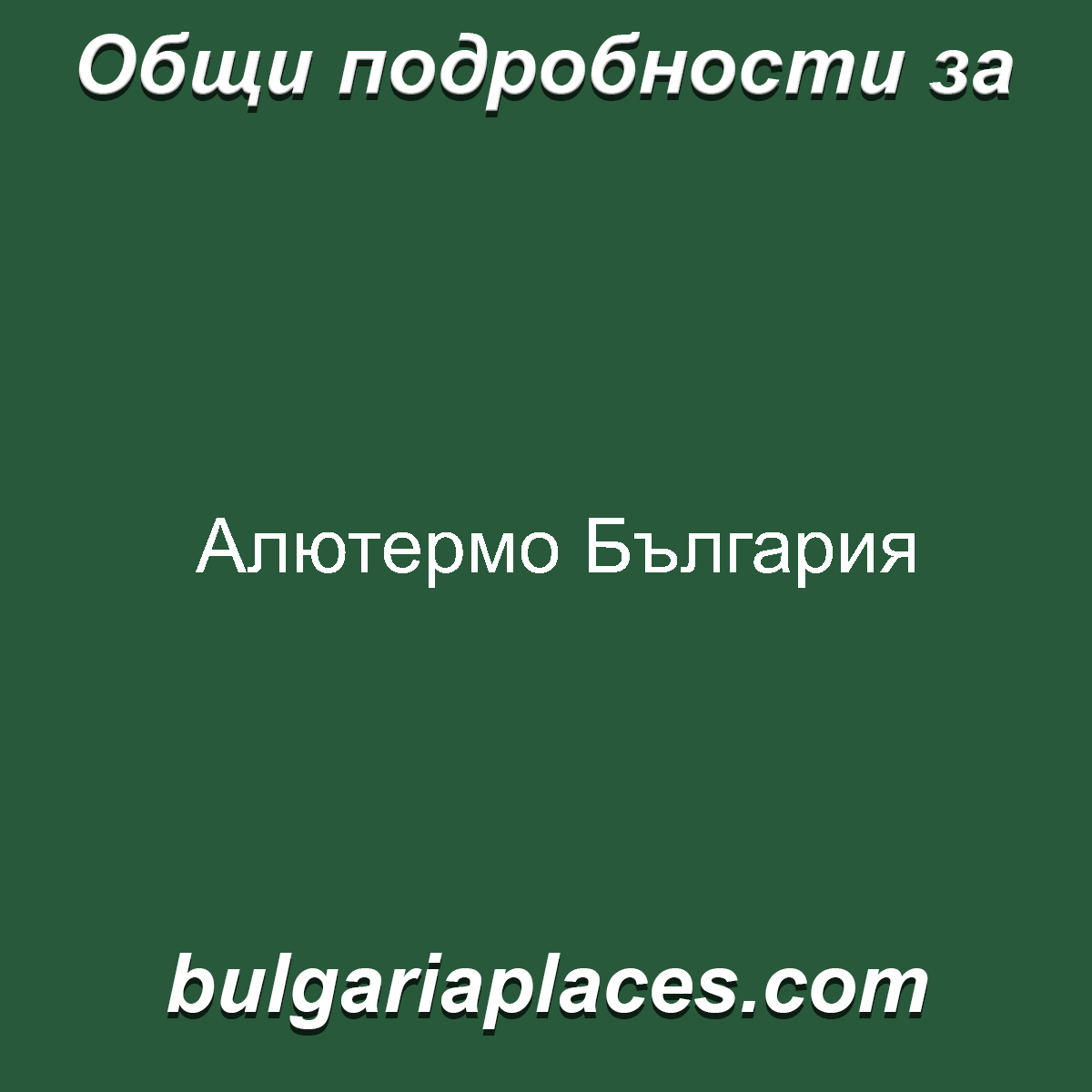Алютермо България