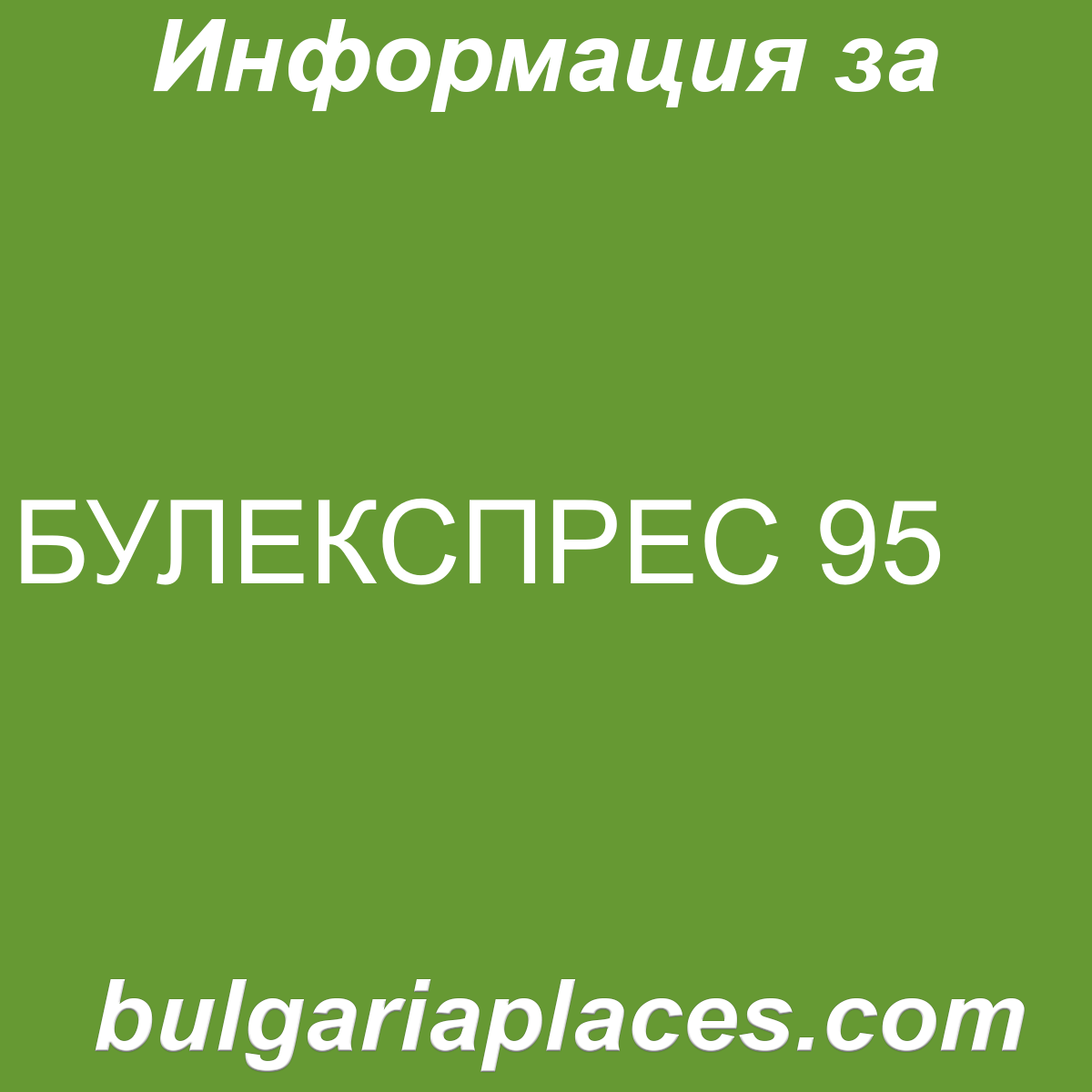 БУЛЕКСПРЕС 95