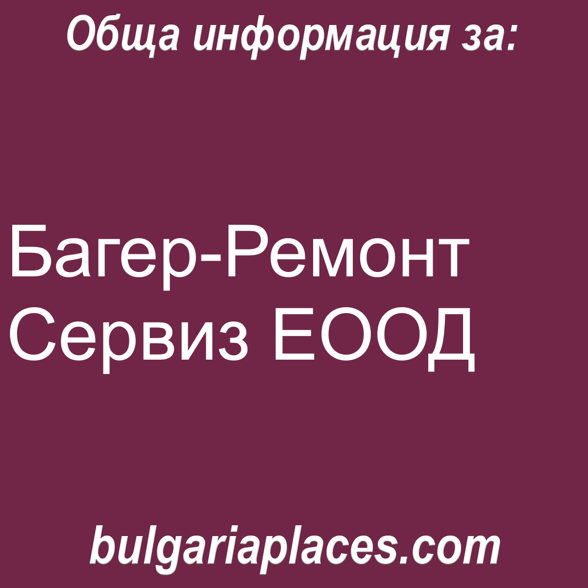 Багер-Ремонт Сервиз ЕООД
