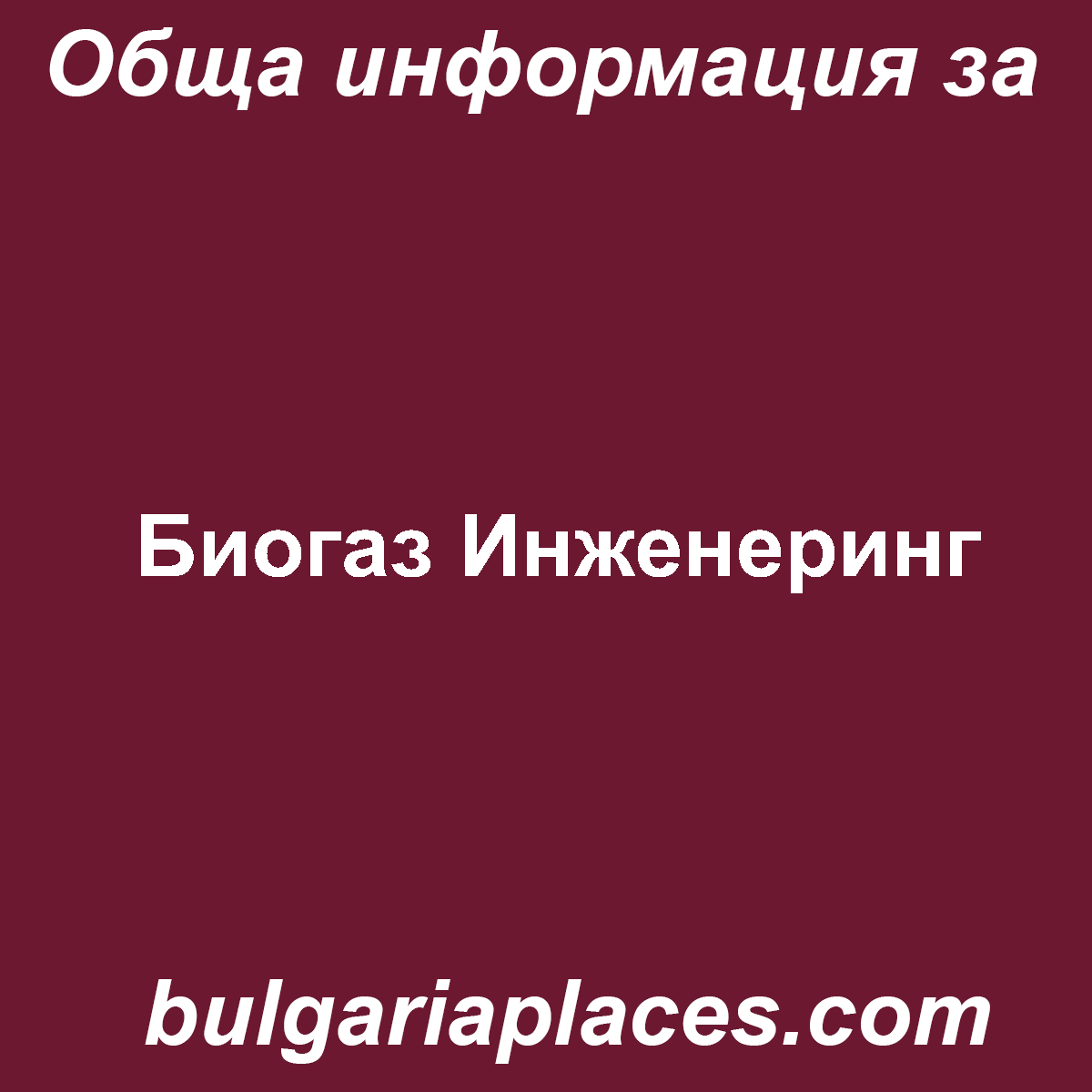 Биогаз Инженеринг
