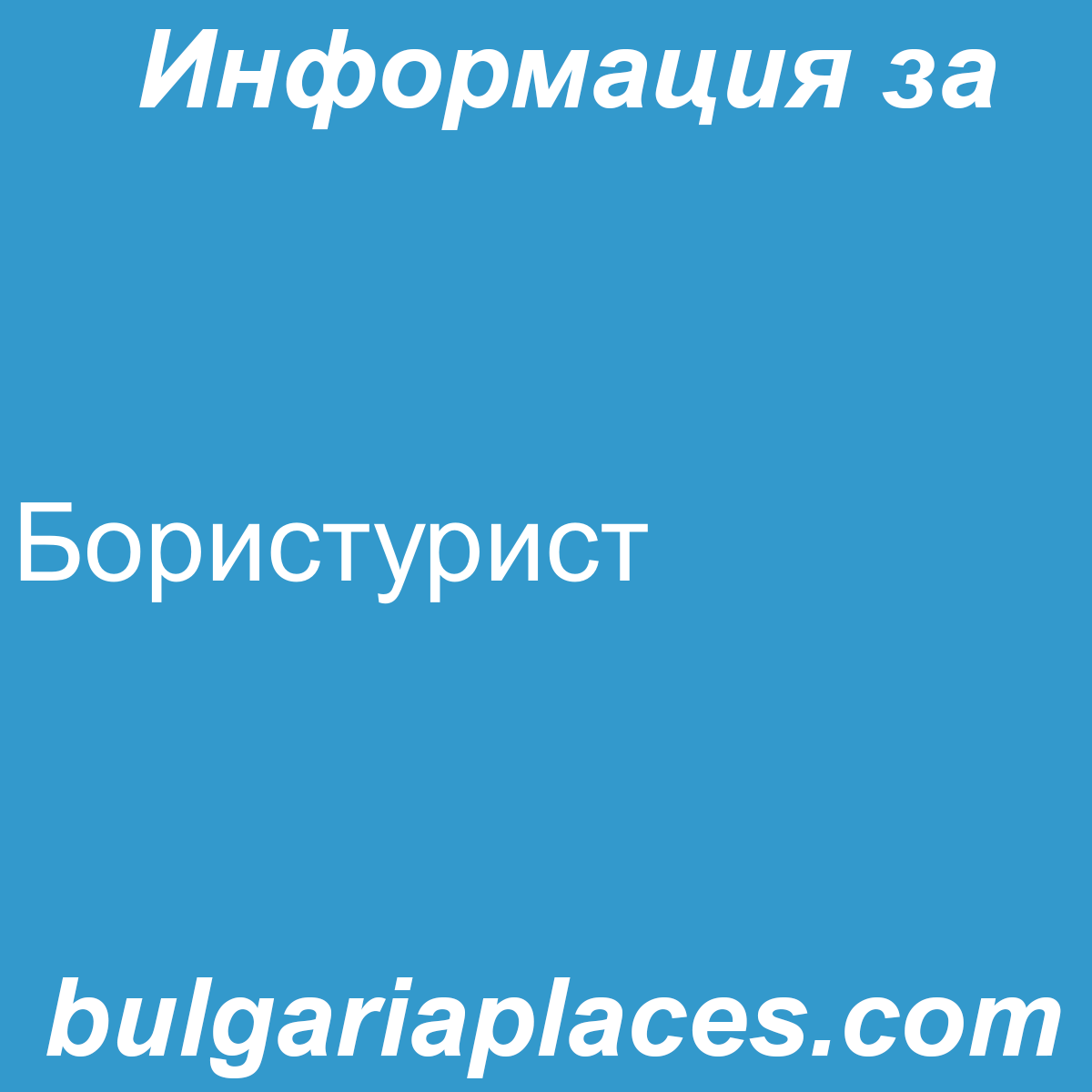 Бористурист