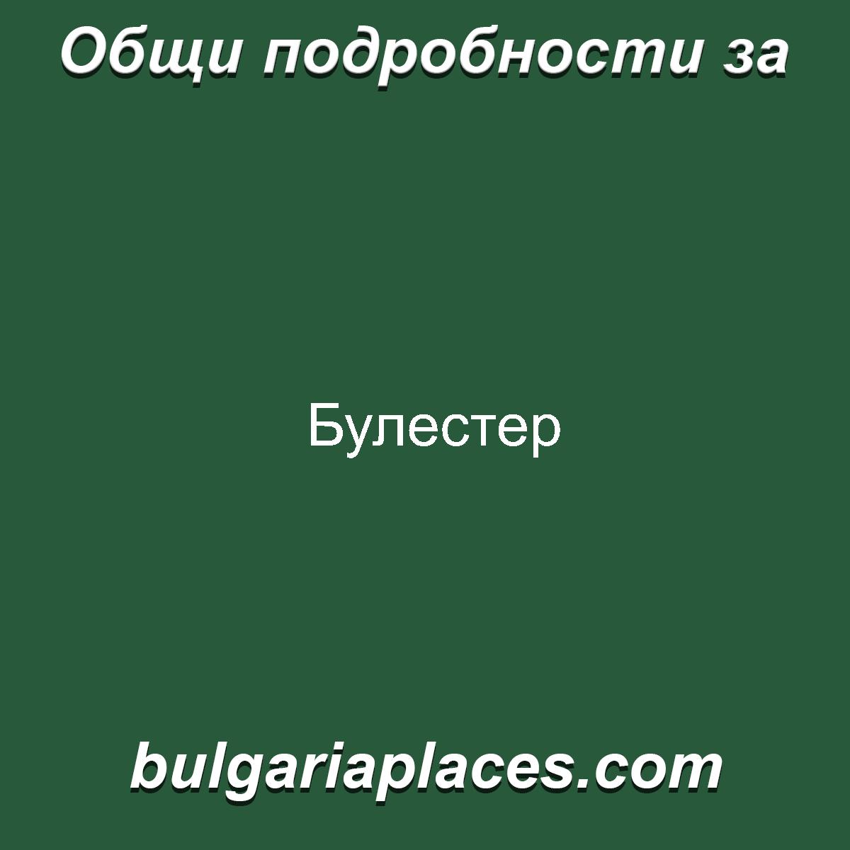 Булестер
