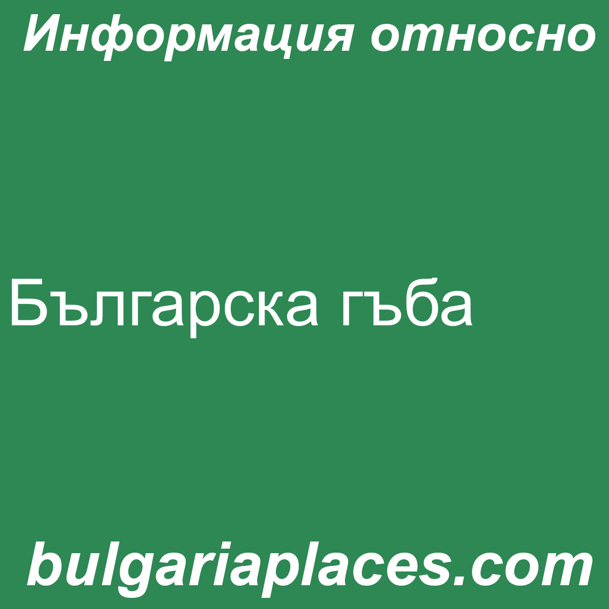 Българска гъба
