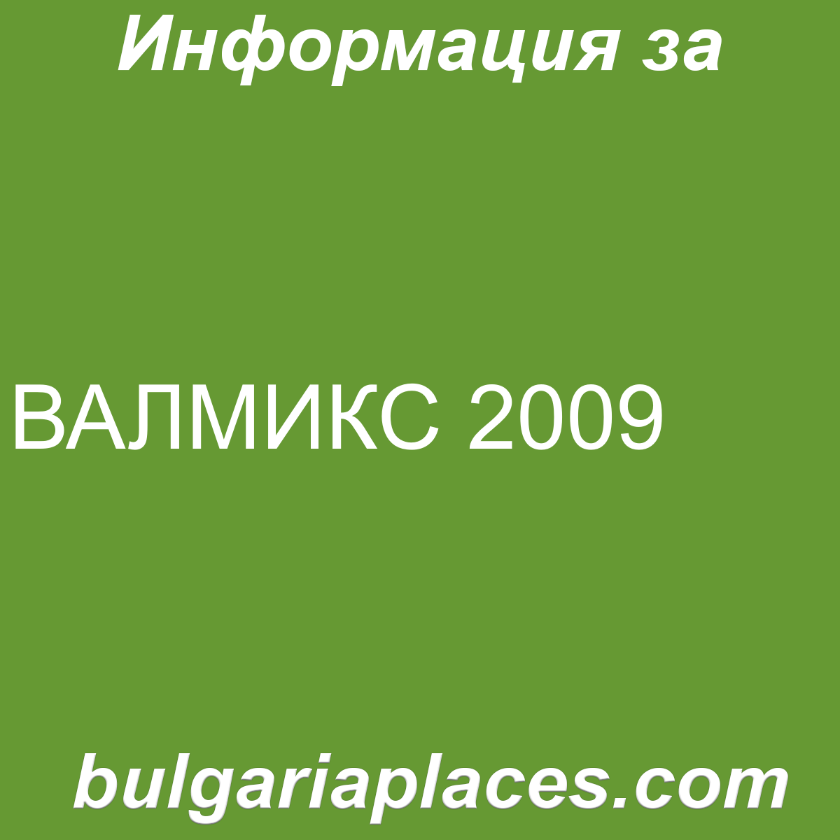 ВАЛМИКС 2009