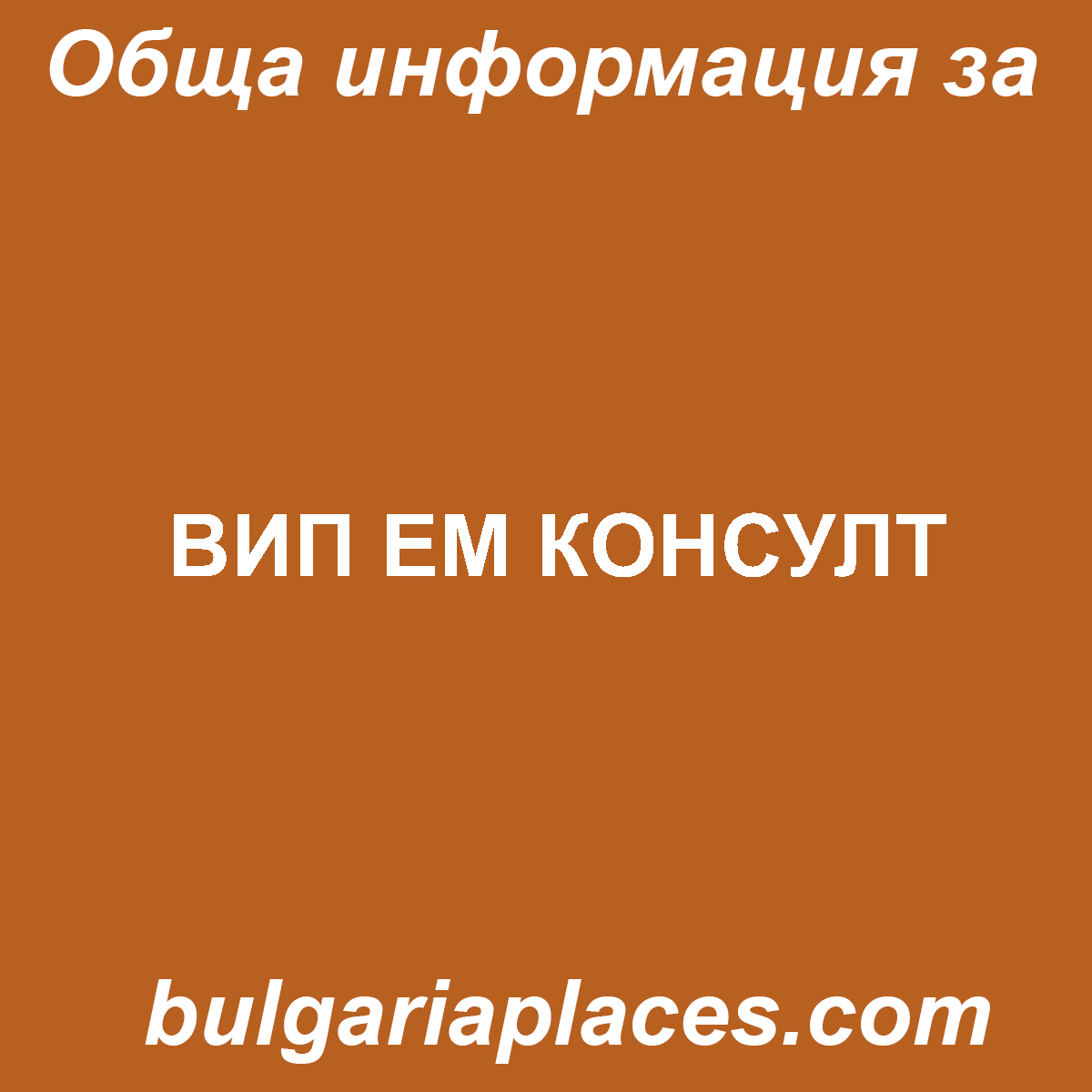 ВИП ЕМ КОНСУЛТ