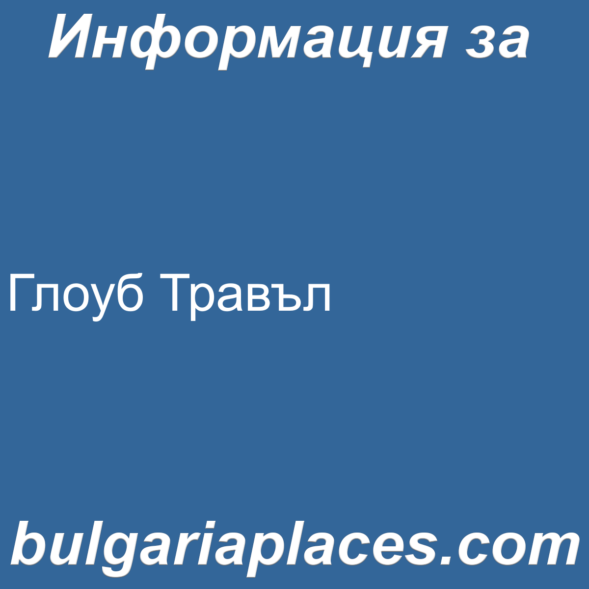 Глоуб Травъл