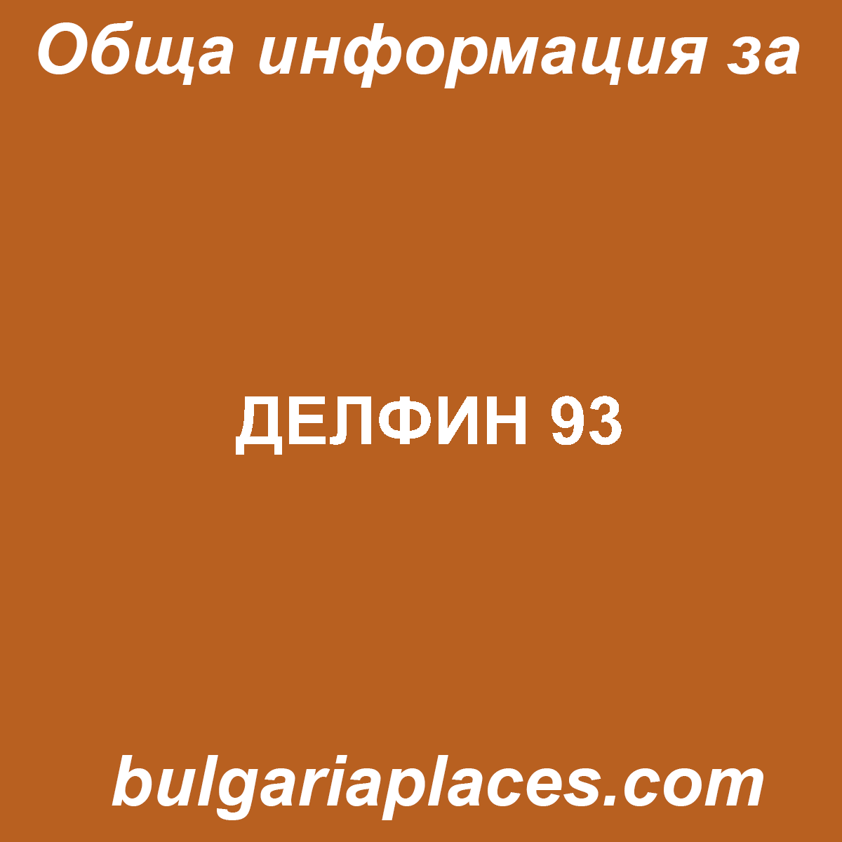 ДЕЛФИН 93