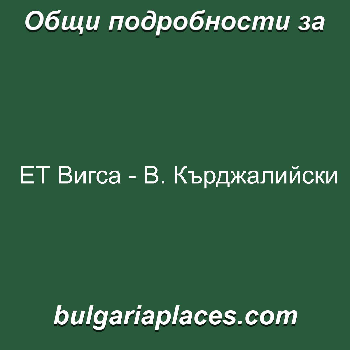ЕТ Вигса – В. Кърджалийски