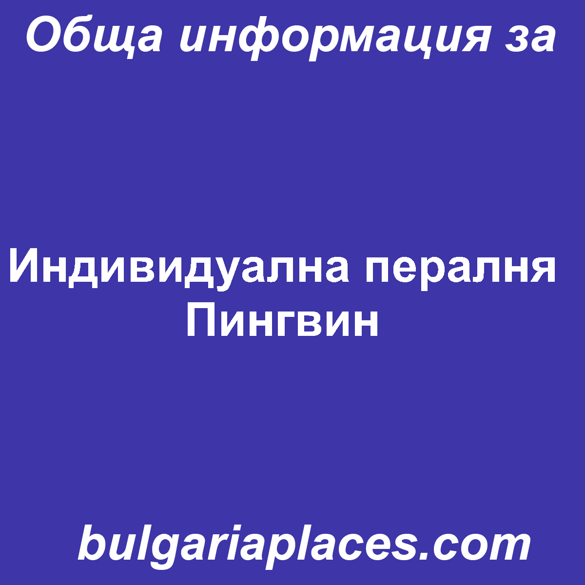 Индивидуална пералня Пингвин