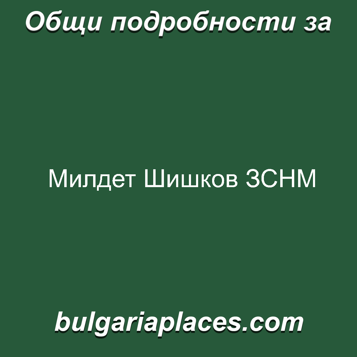 Милдет Шишков ЗСНМ