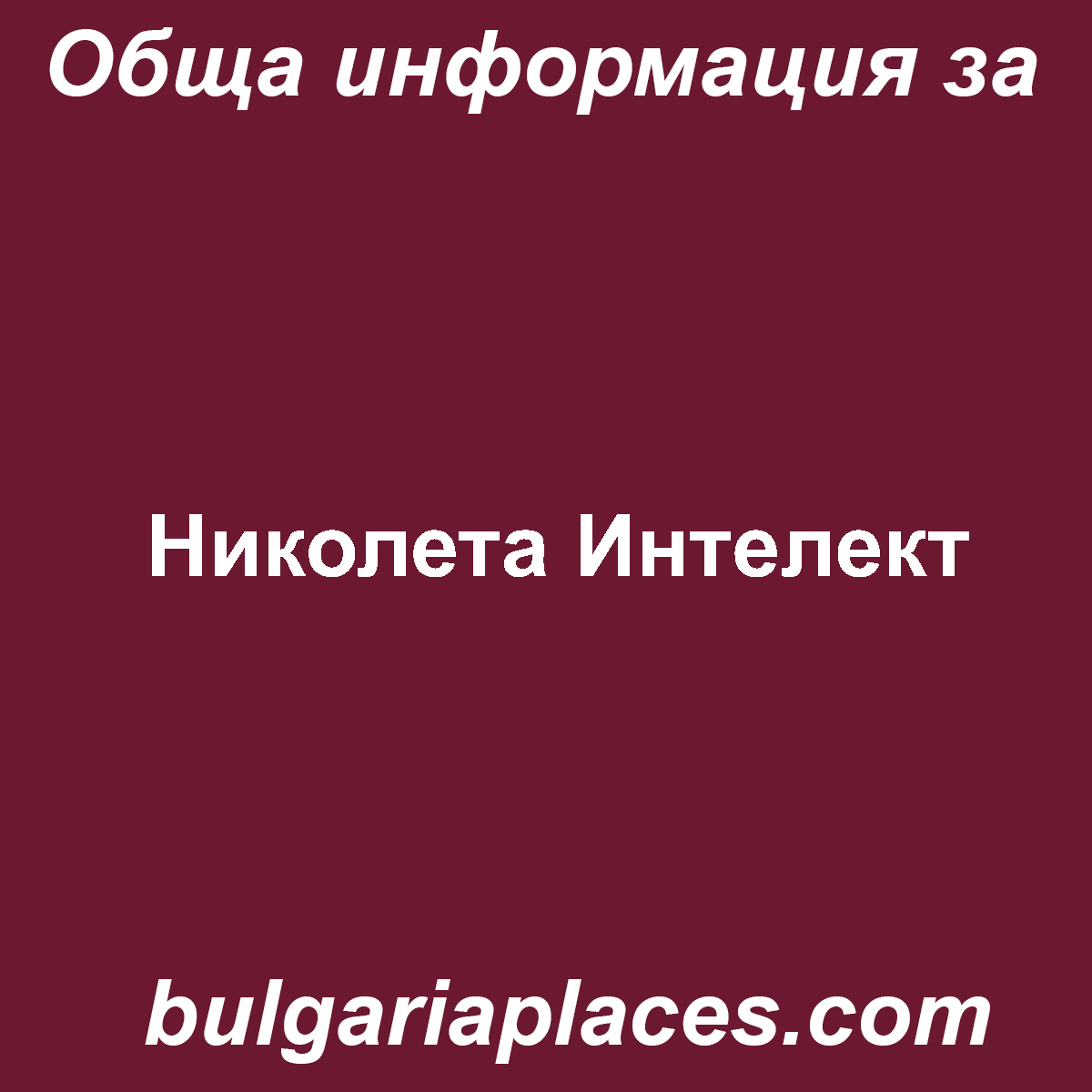 Николета Интелект