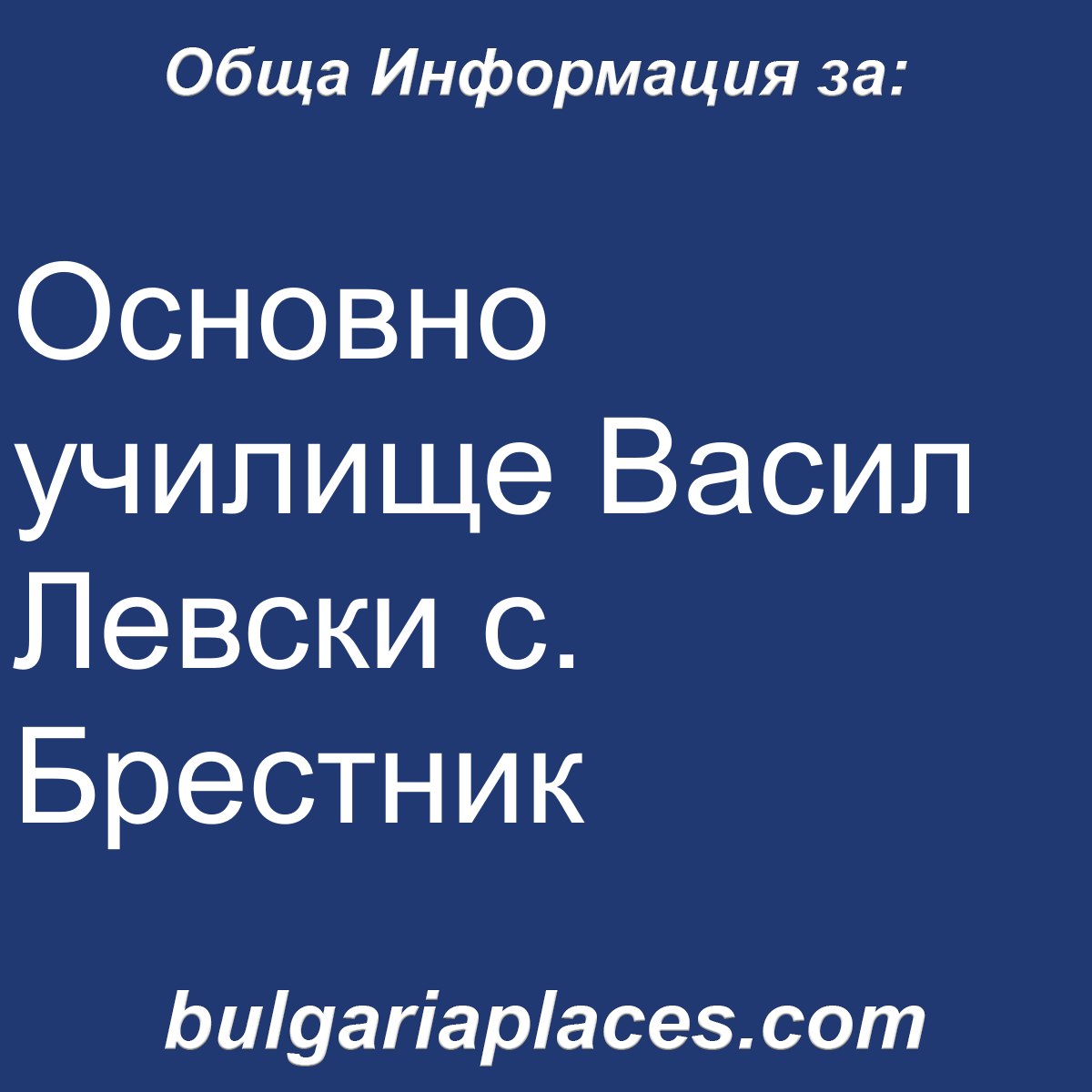 Основно училище Васил Левски с. Брестник