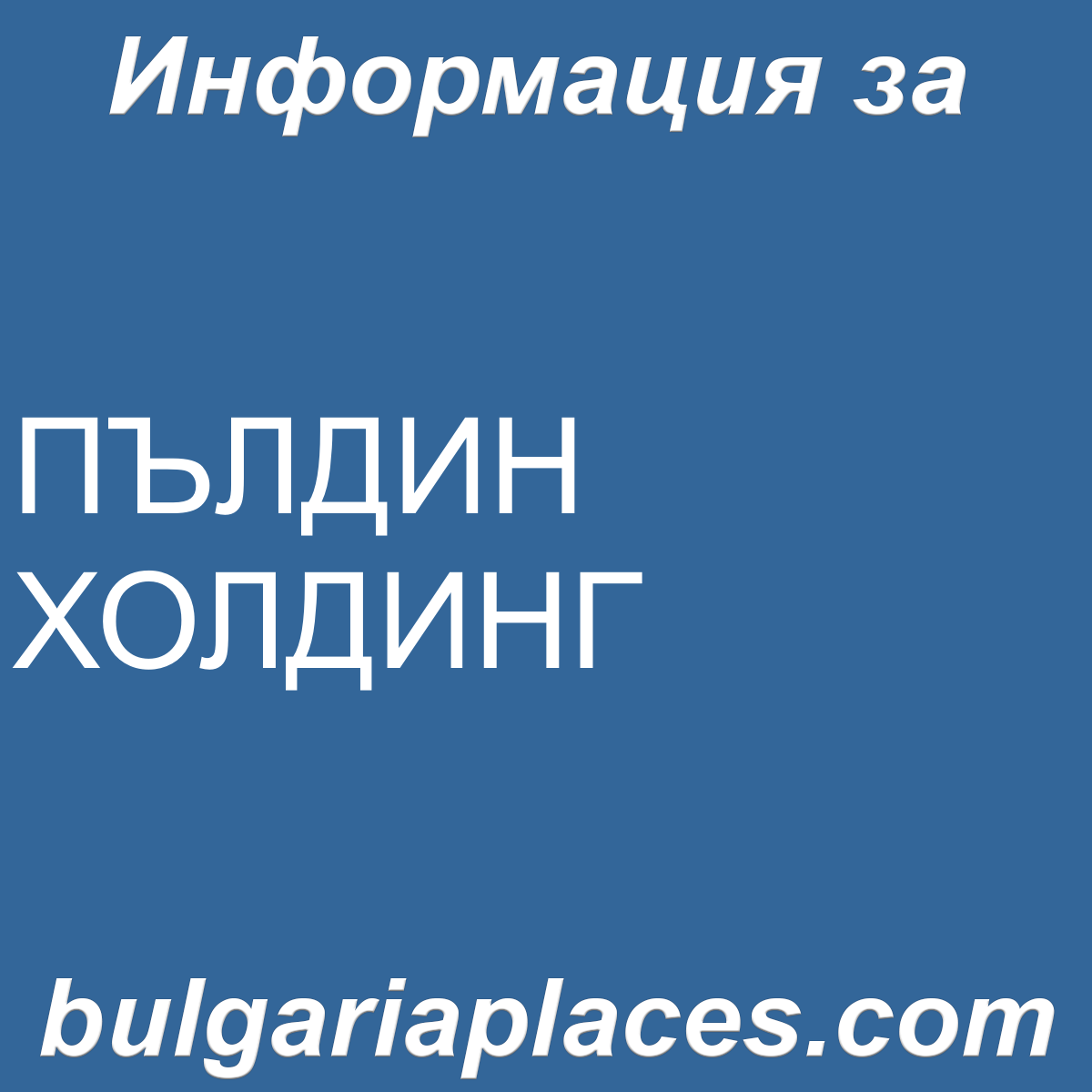 ПЪЛДИН ХОЛДИНГ