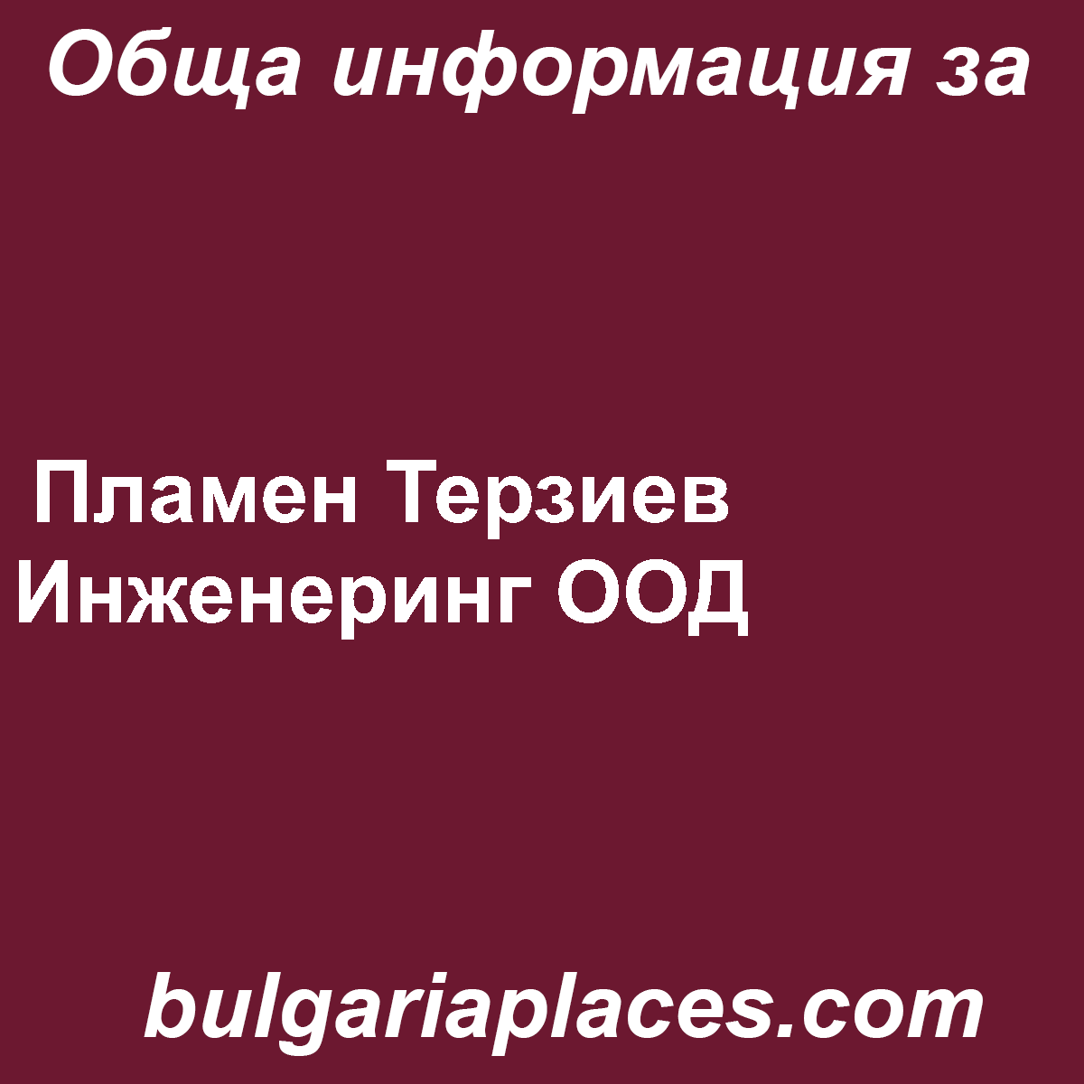 Пламен Терзиев Инженеринг ООД
