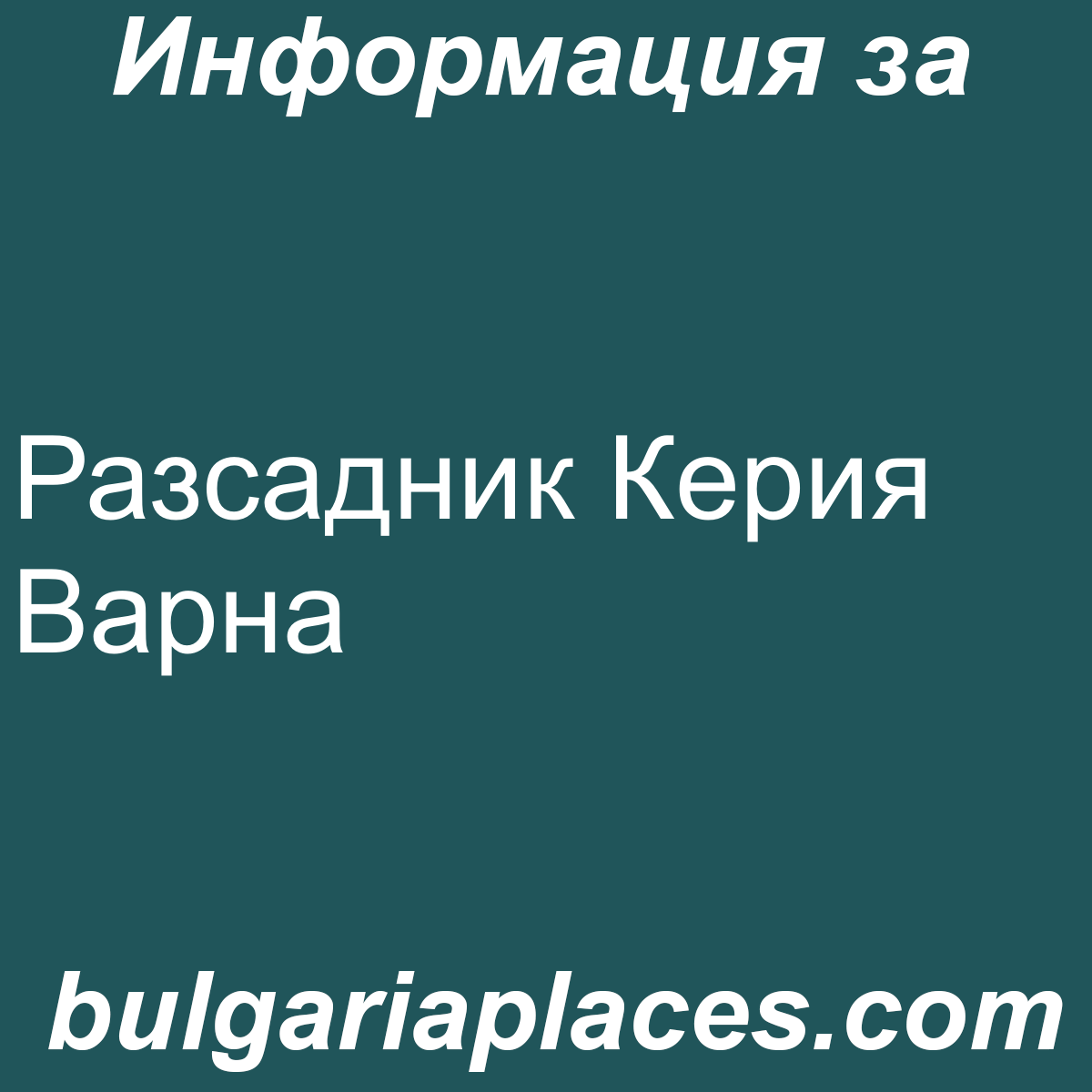 Разсадник Керия Варна