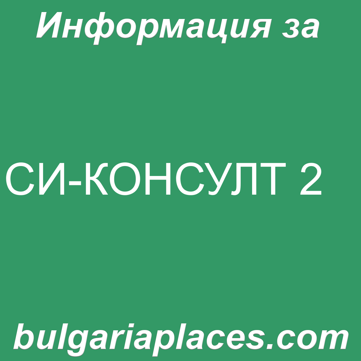 СИ-КОНСУЛТ 2