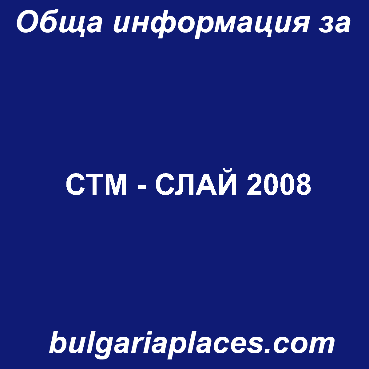 СТМ – СЛАЙ 2008
