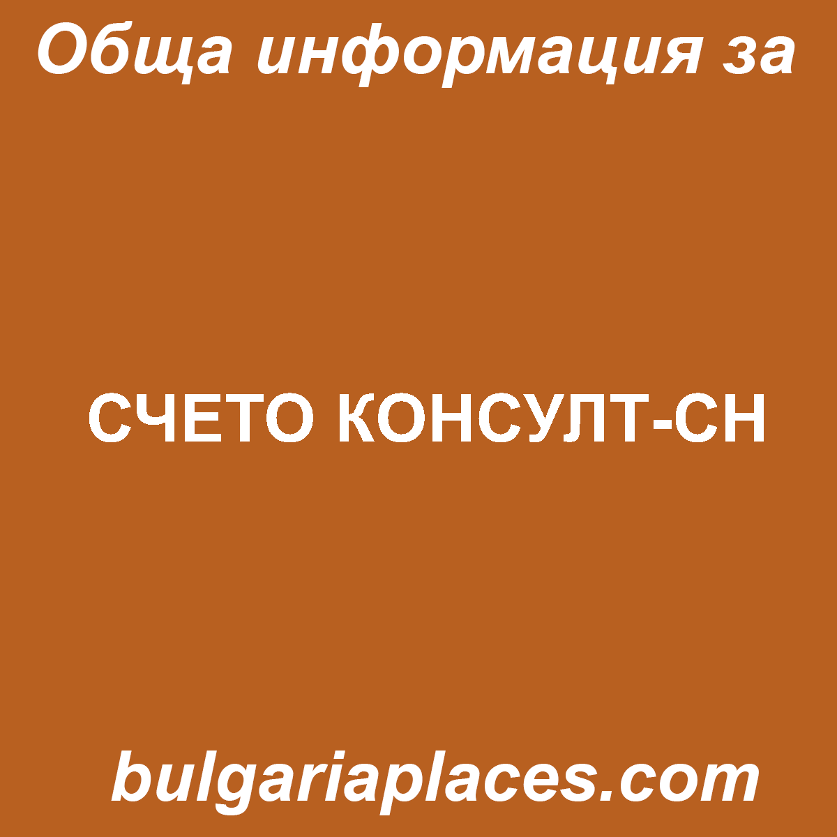 СЧЕТО КОНСУЛТ-СН