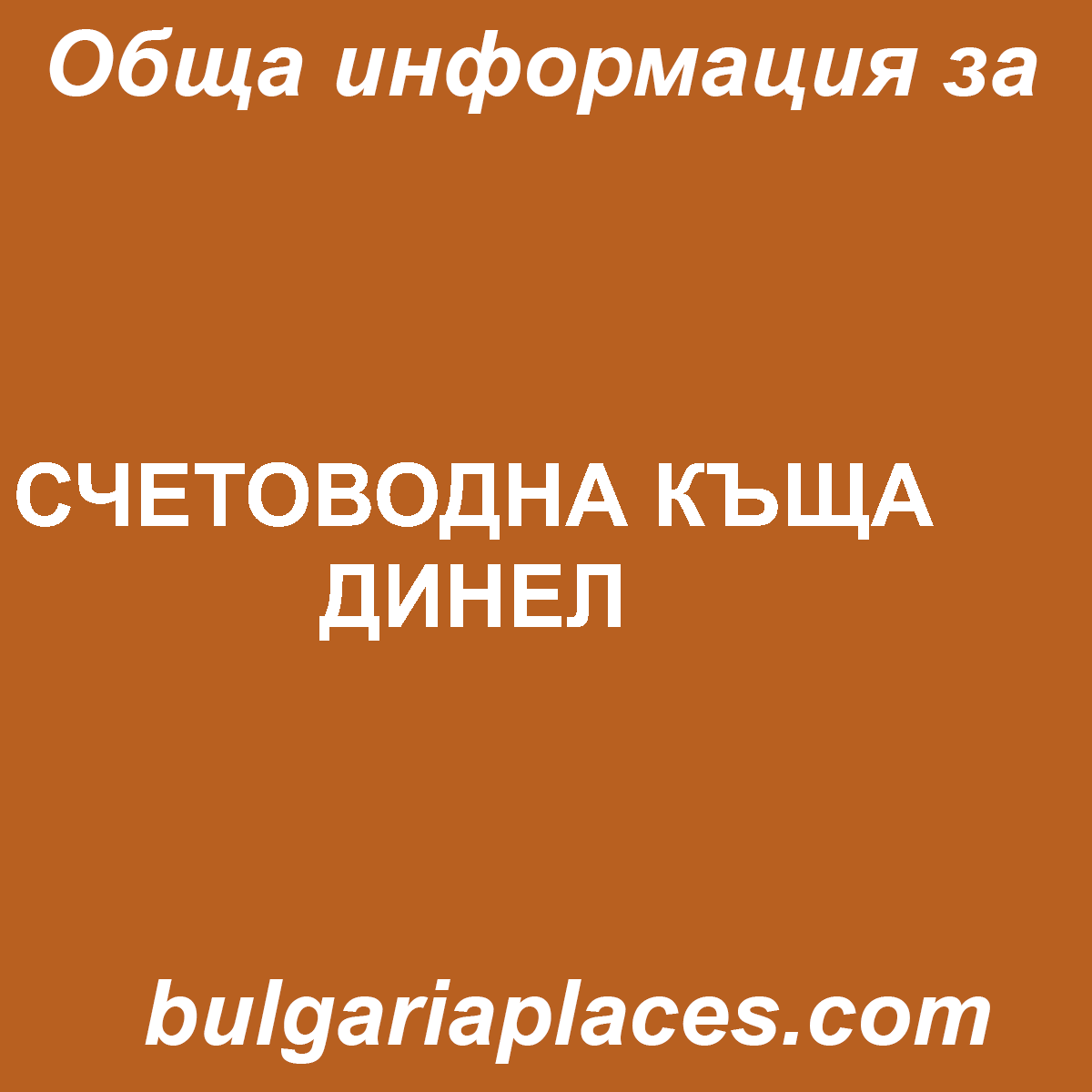 СЧЕТОВОДНА КЪЩА ДИНЕЛ