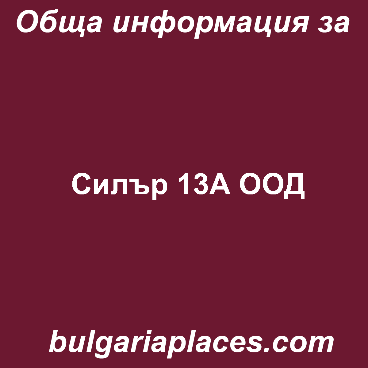 Силър 13А ООД
