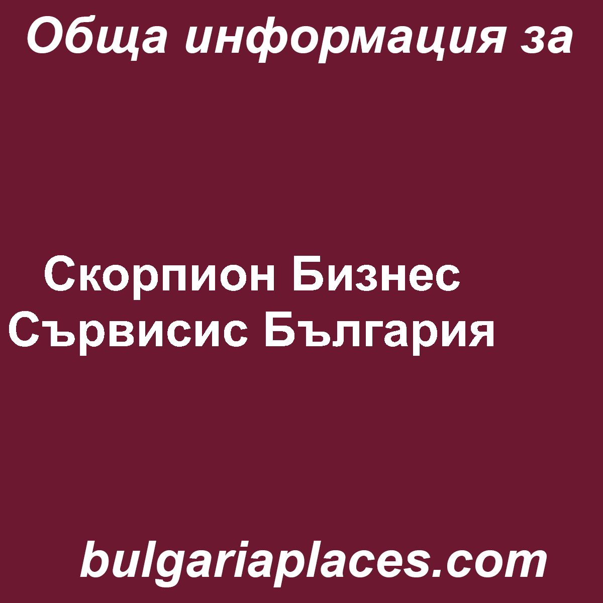 Скорпион Бизнес Сървисис България