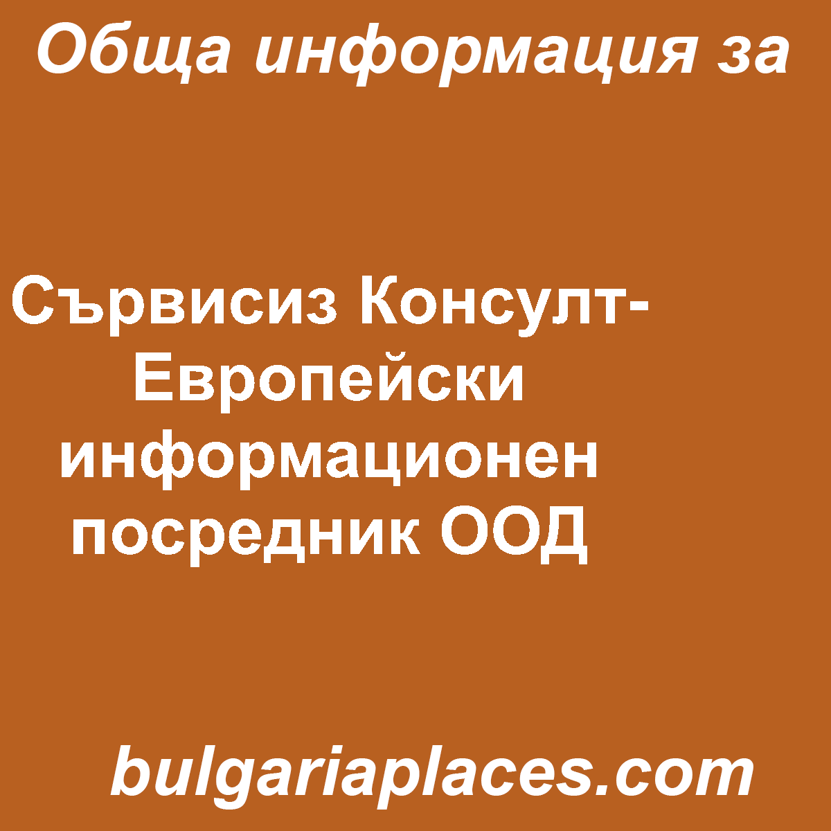 Сървисиз Консулт- Европейски информационен посредник ООД