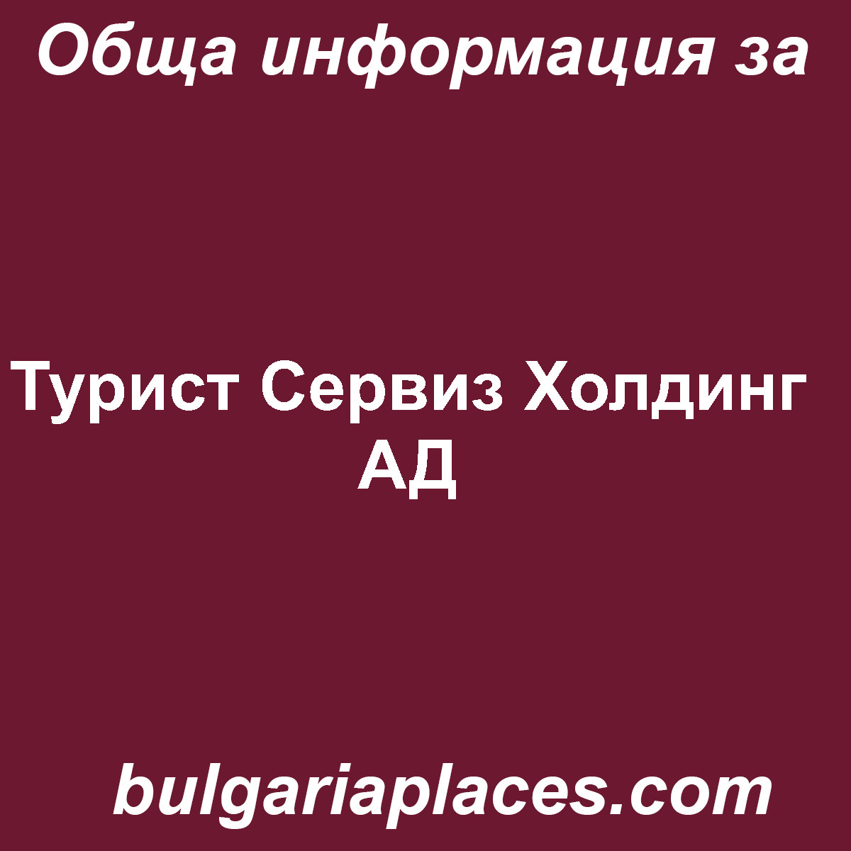 Турист Сервиз Холдинг АД