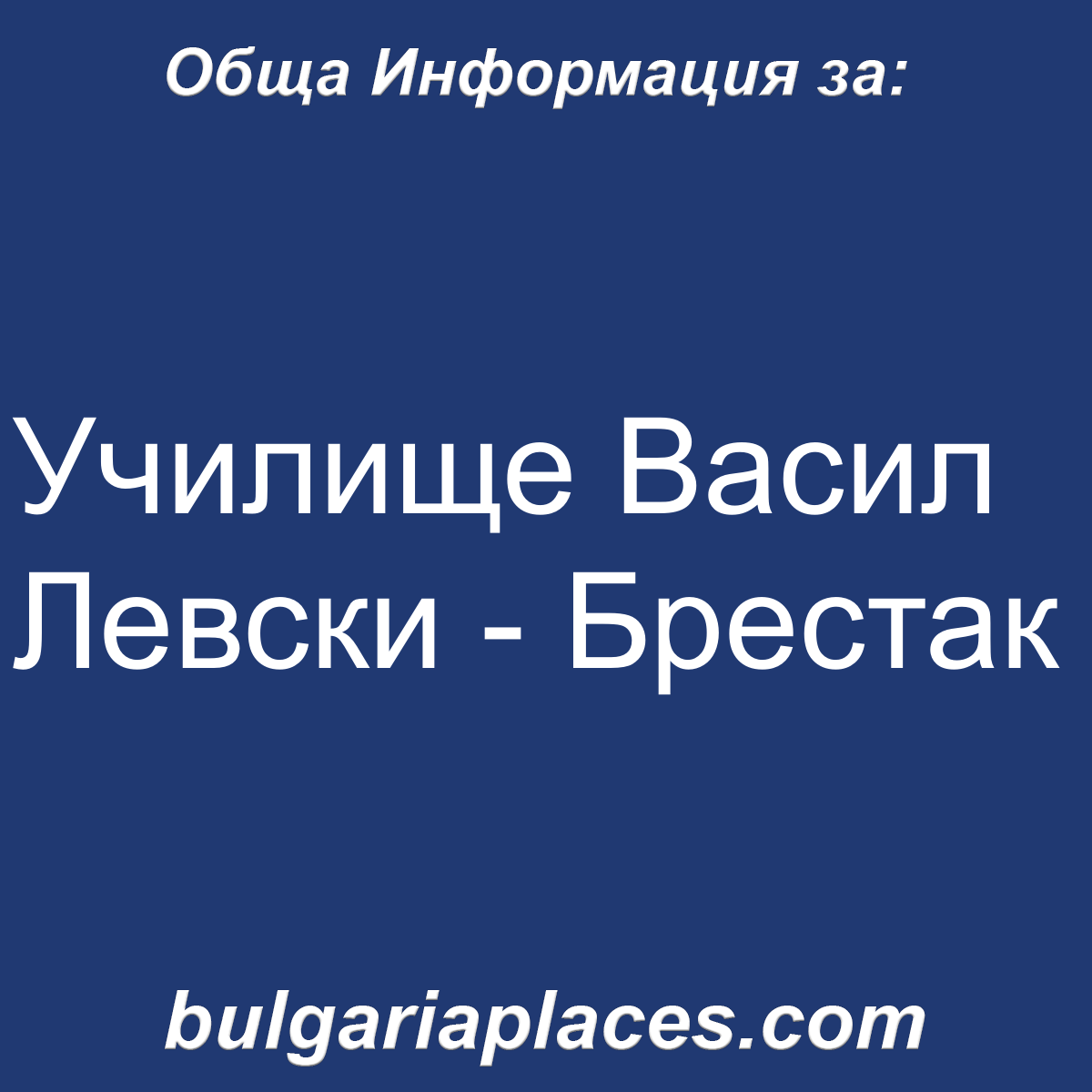 Училище Васил Левски – Брестак