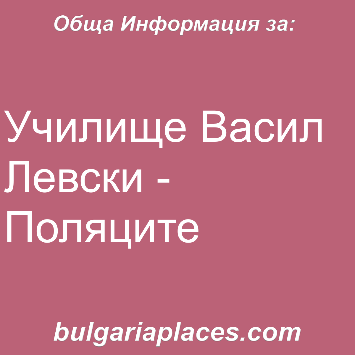 Училище Васил Левски – Поляците