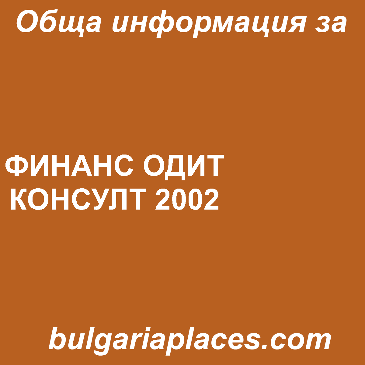 ФИНАНС ОДИТ КОНСУЛТ 2002