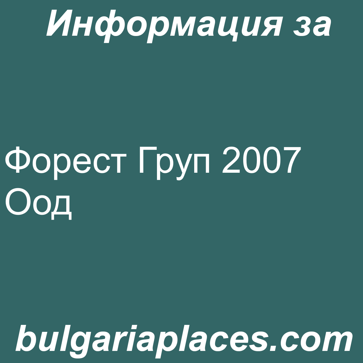 Форест Груп 2007 Оод