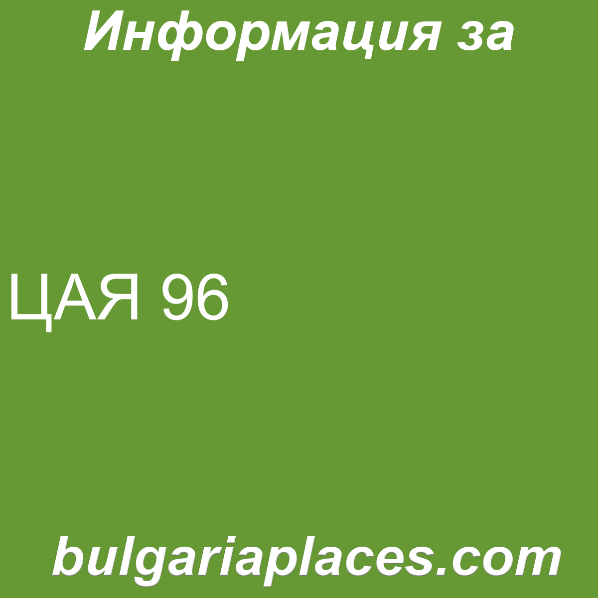 ЦАЯ 96