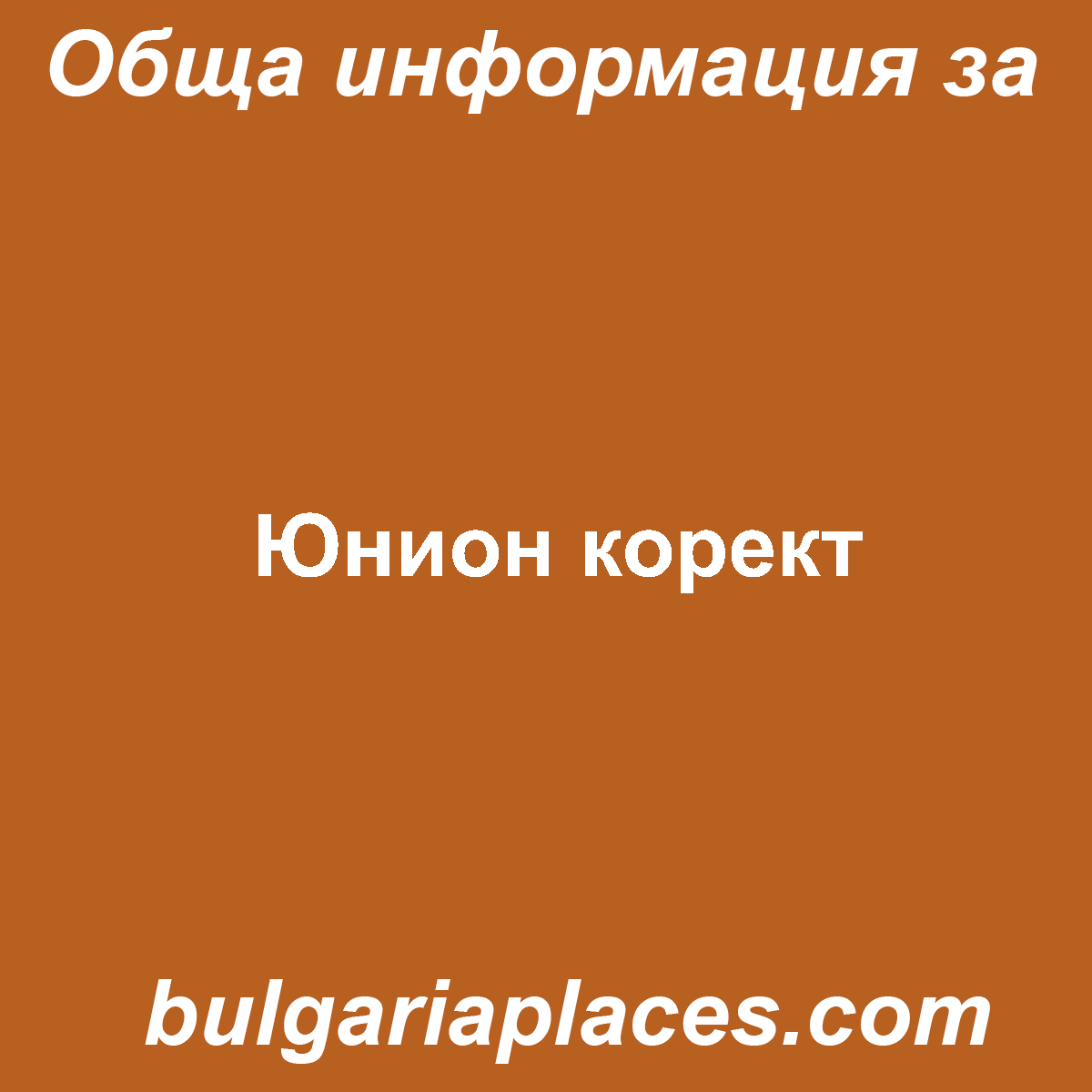 Юнион корект