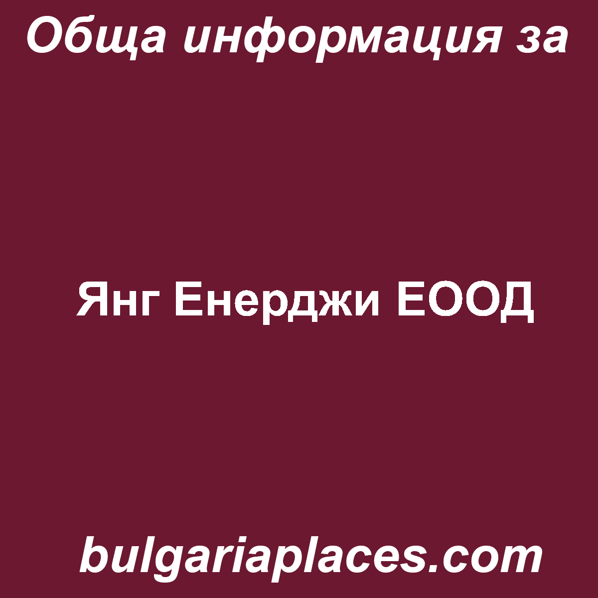 Янг Енерджи ЕООД